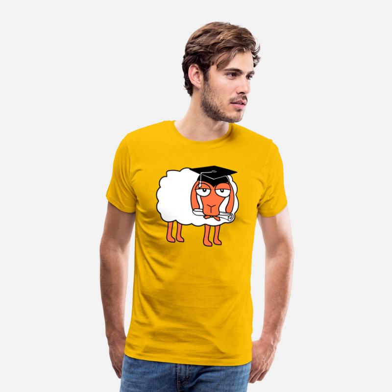 Sheep High School Certificate College Graduation