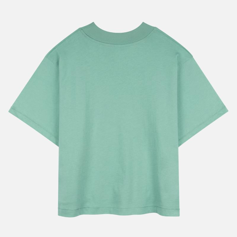 Enchanted Earth's Inner World