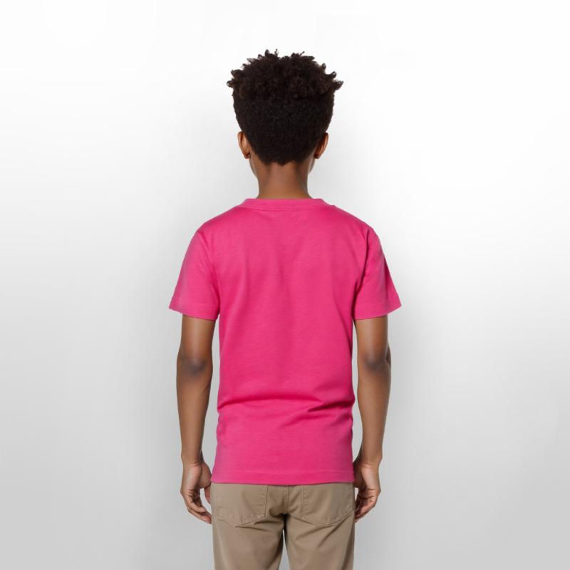 Starry Fairy Celebration: