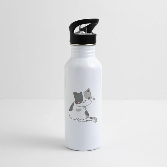 Adorable Calico Cat Profile