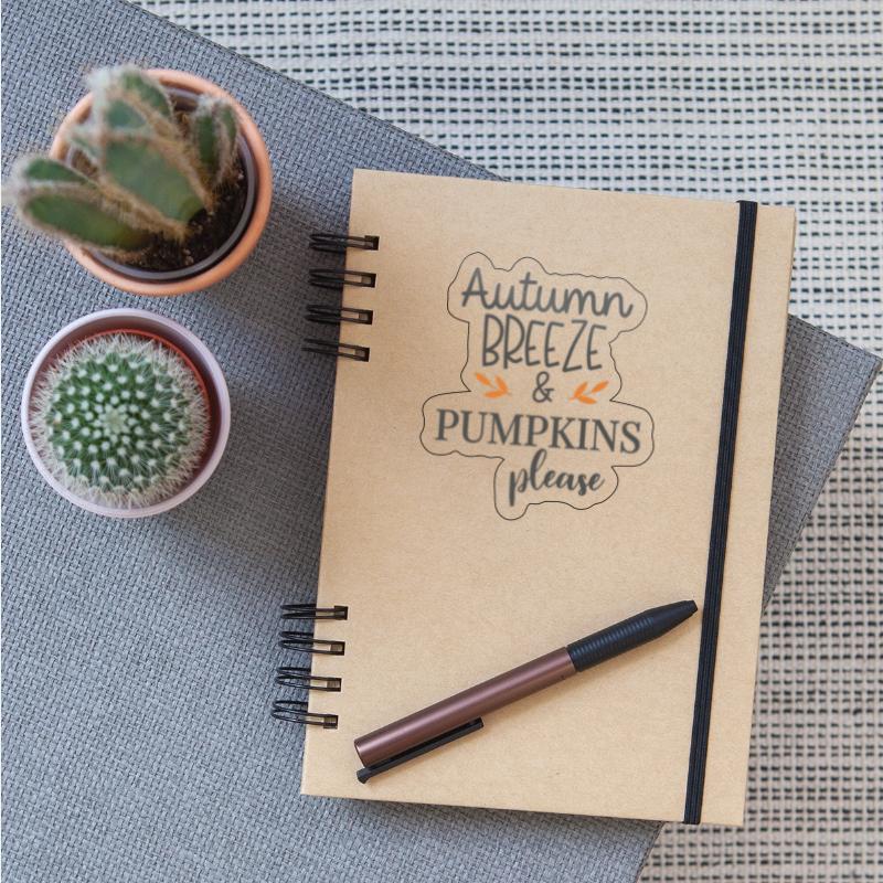 AUTUMN BREEZE AND PUMPKINS PLEASE CLOTHING