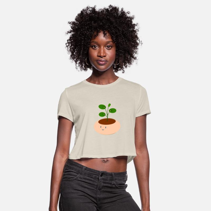 Cute peach pot pilea money plant