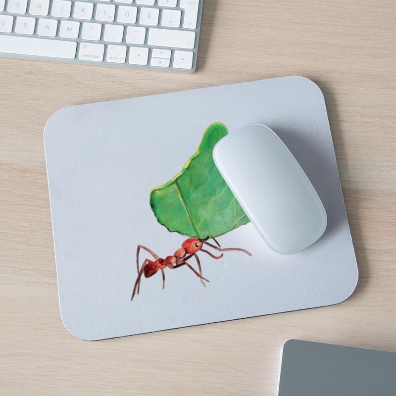 Little Ant Carrying a Big Leaf