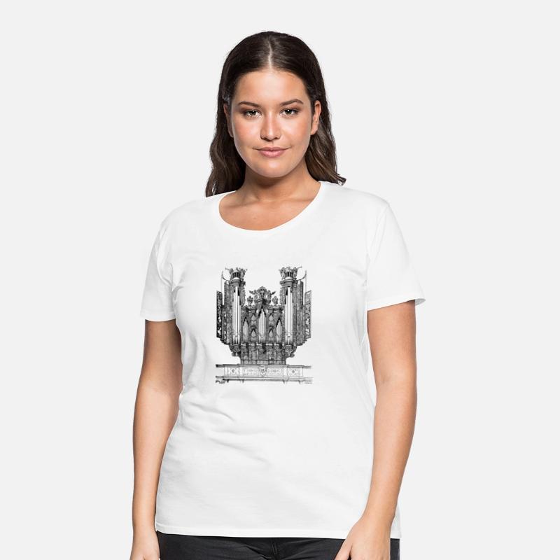 Organ in the Church of Santa Maria di Carignano,