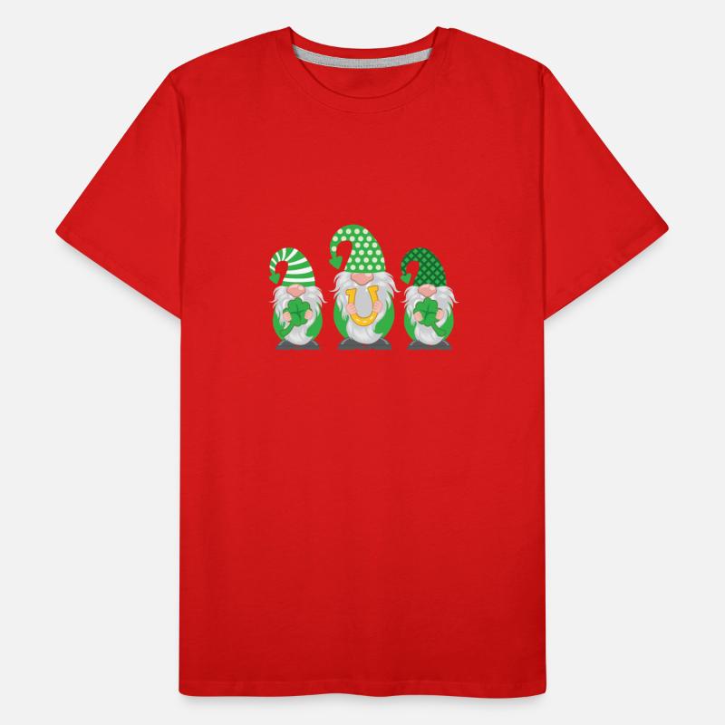 St Patrick's Day Gnome Lucky Clover Shamrock Gift