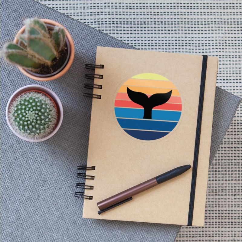 Surfing Surfboard Surfer Water Sport Shark