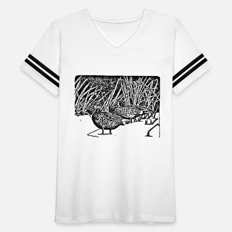 Two blue winged teals