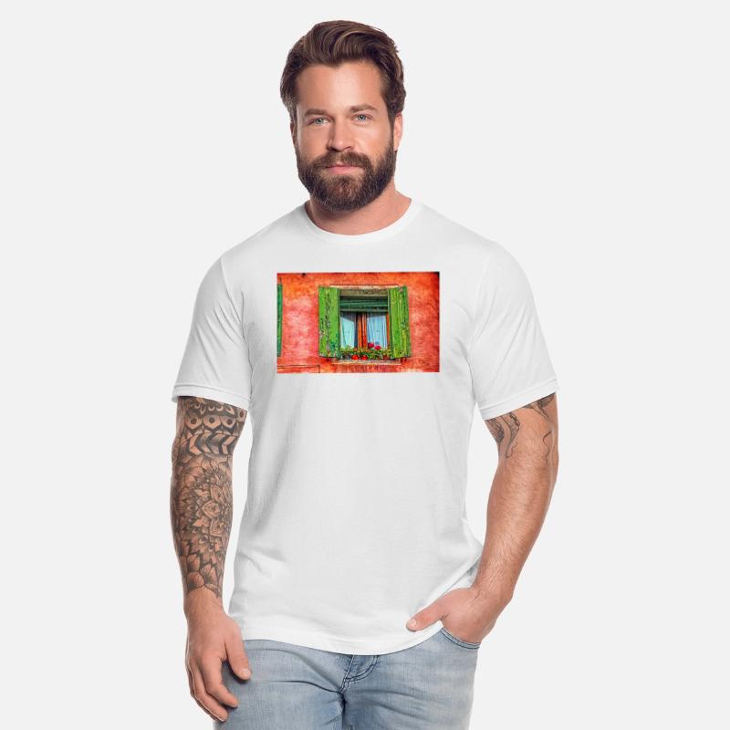 Windows of Venice Italy 9657